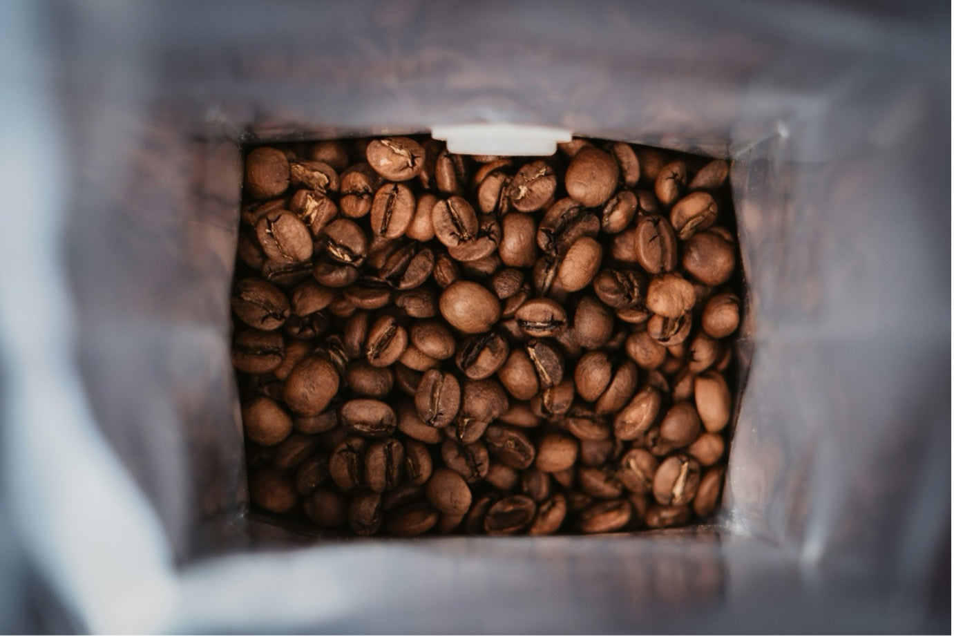 ¿Cómo conservar mejor tu café?